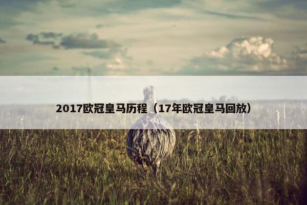 2017欧冠皇马历程（17年欧冠皇马回放）