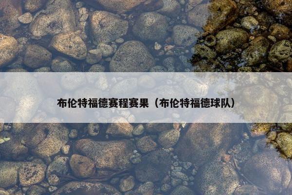 布伦特福德赛程赛果（布伦特福德球队）