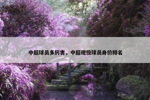 中超球员多厉害，中超现役球员身价排名