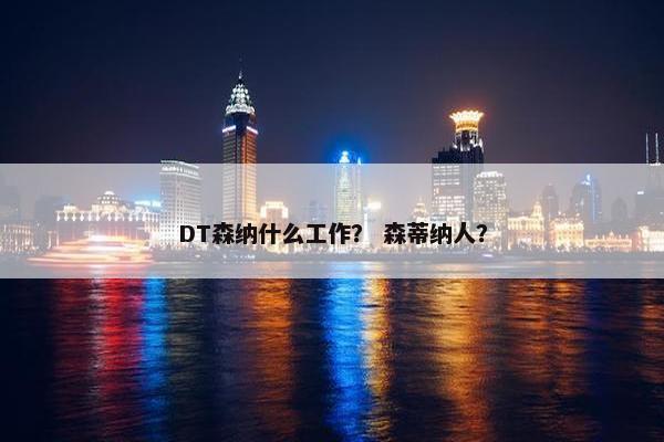 DT森纳什么工作？ 森蒂纳人？
