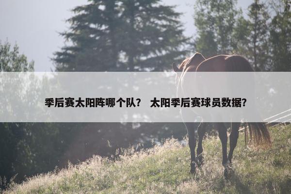 季后赛太阳阵哪个队？ 太阳季后赛球员数据？