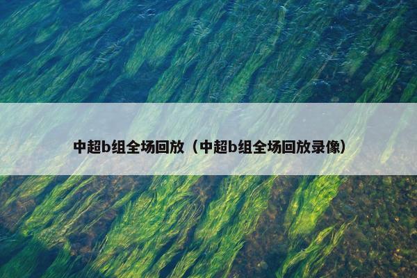中超b组全场回放（中超b组全场回放录像）