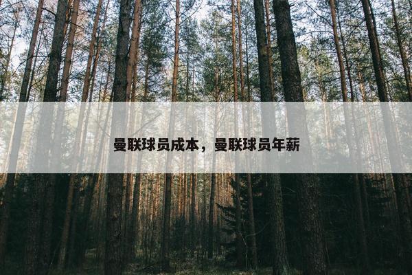 曼联球员成本，曼联球员年薪