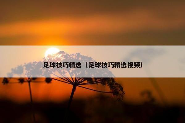 足球技巧精选（足球技巧精选视频）
