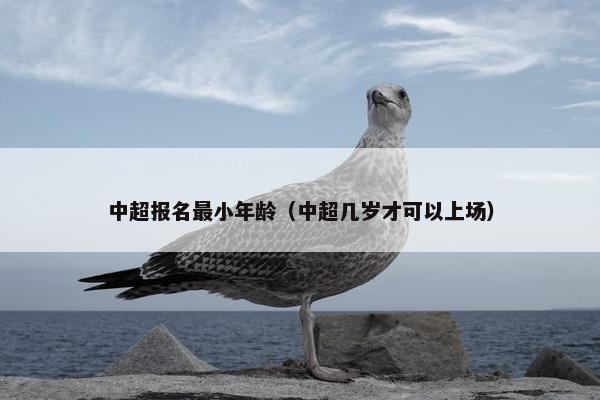 中超报名最小年龄（中超几岁才可以上场）