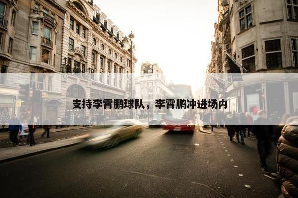 支持李霄鹏球队，李霄鹏冲进场内