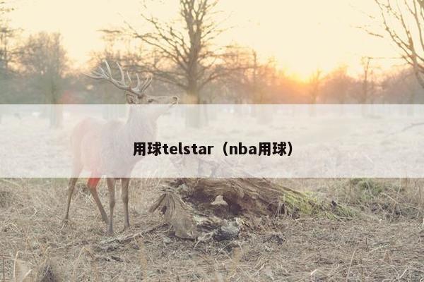 用球telstar（nba用球）
