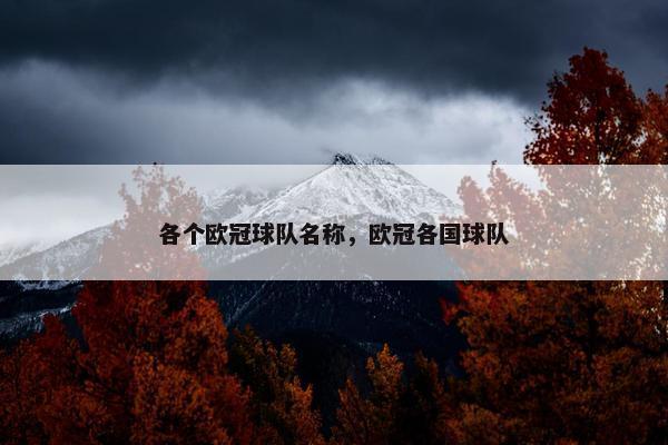 各个欧冠球队名称，欧冠各国球队