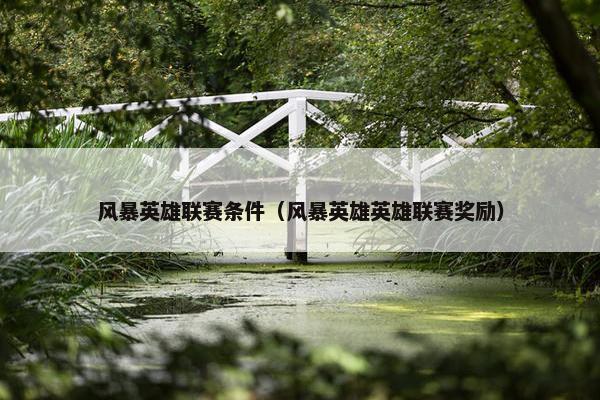 风暴英雄联赛条件（风暴英雄英雄联赛奖励）