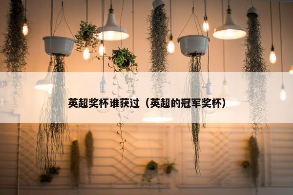 英超奖杯谁获过（英超的冠军奖杯）