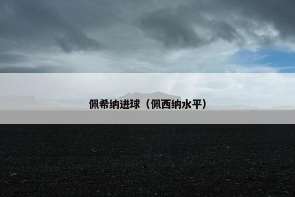 佩希纳进球（佩西纳水平）