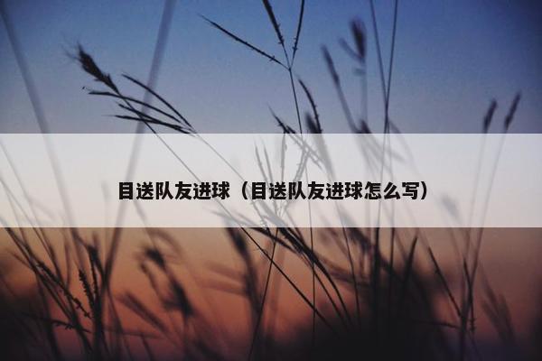 目送队友进球（目送队友进球怎么写）