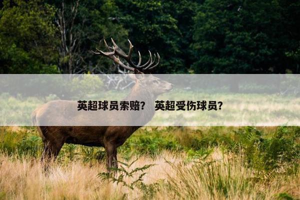 英超球员索赔？ 英超受伤球员？