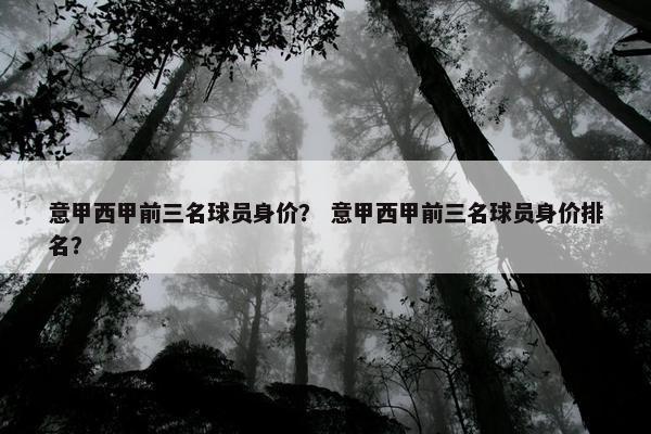 意甲西甲前三名球员身价？ 意甲西甲前三名球员身价排名？