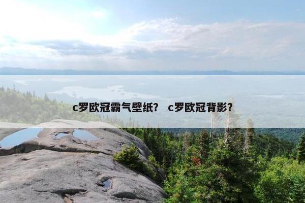 c罗欧冠霸气壁纸？ c罗欧冠背影？