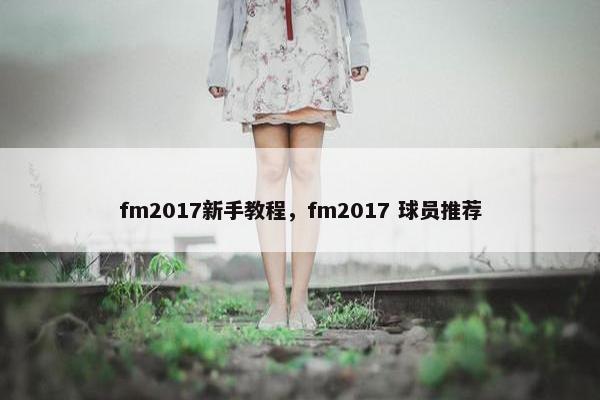 fm2017新手教程，fm2017 球员推荐