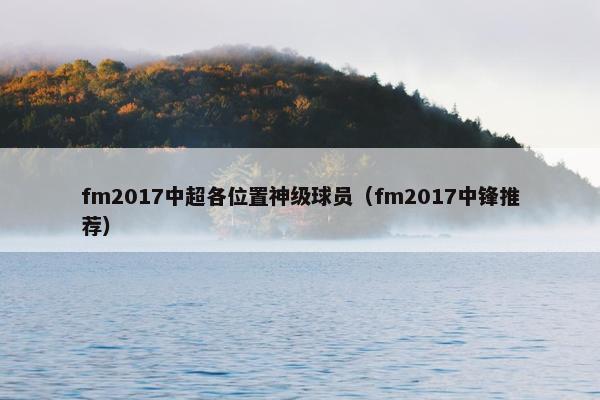 fm2017中超各位置神级球员（fm2017中锋推荐）