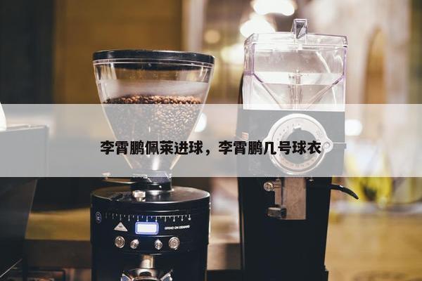 李霄鹏佩莱进球，李霄鹏几号球衣