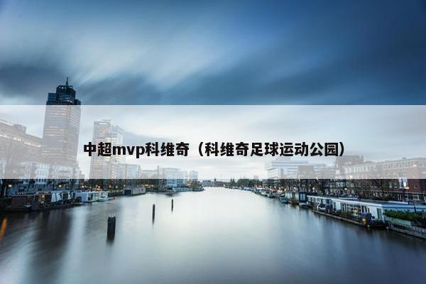 中超mvp科维奇（科维奇足球运动公园）