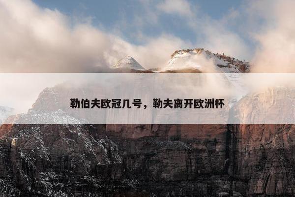 勒伯夫欧冠几号，勒夫离开欧洲杯