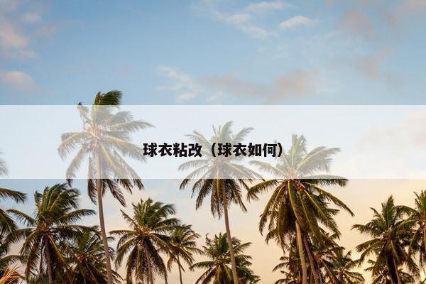 球衣粘改（球衣如何）