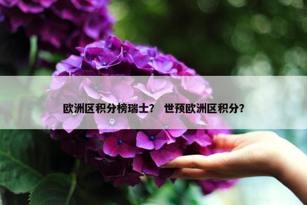 欧洲区积分榜瑞士？ 世预欧洲区积分？