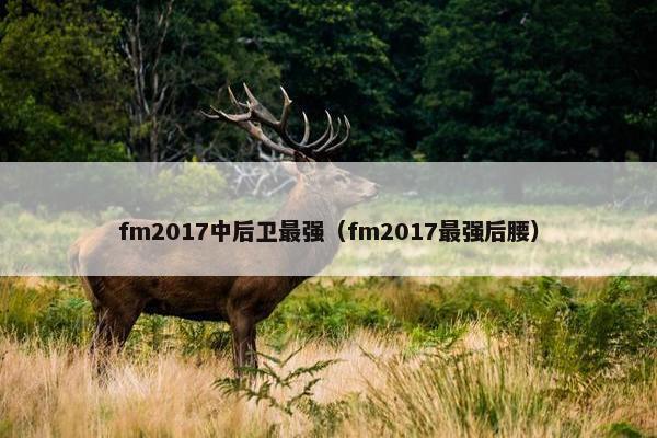 fm2017中后卫最强（fm2017最强后腰）