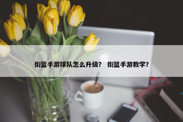 街篮手游球队怎么升级？ 街篮手游教学？