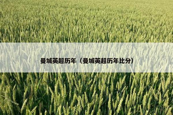 曼城英超历年（曼城英超历年比分）