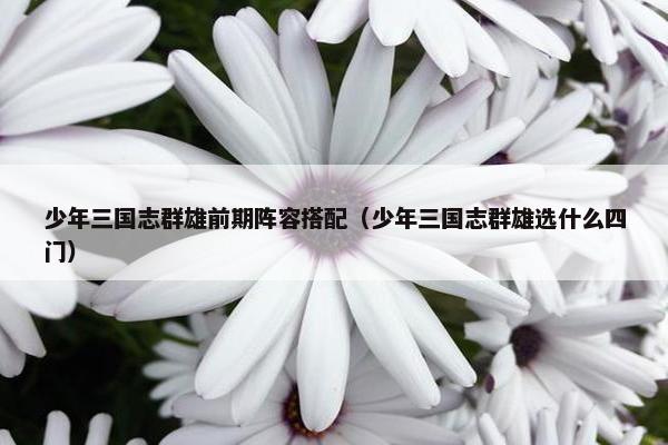 少年三国志群雄前期阵容搭配（少年三国志群雄选什么四门）
