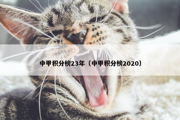 中甲积分榜23年（中甲积分榜2020）