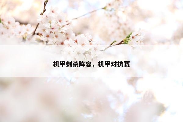 机甲刺杀阵容，机甲对抗赛