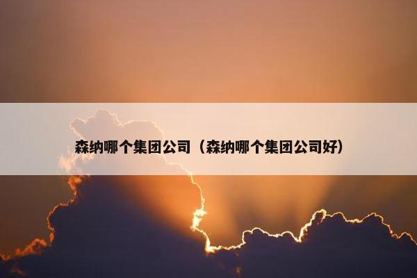 森纳哪个集团公司（森纳哪个集团公司好）