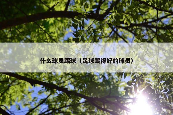 什么球员踢球（足球踢得好的球员）