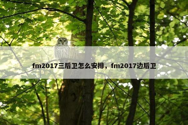 fm2017三后卫怎么安排，fm2017边后卫