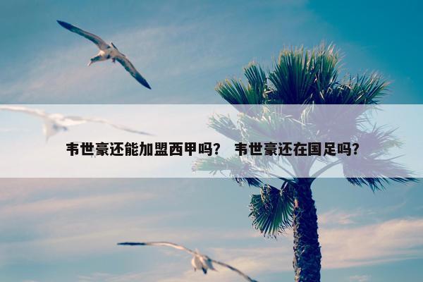 韦世豪还能加盟西甲吗？ 韦世豪还在国足吗？