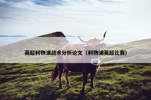 英超利物浦战术分析论文（利物浦英超比赛）