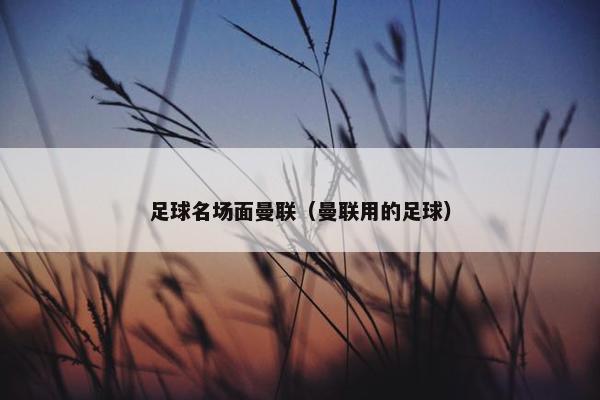 足球名场面曼联（曼联用的足球）