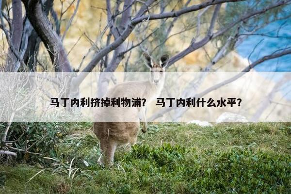 马丁内利挤掉利物浦？ 马丁内利什么水平？