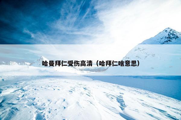 哈曼拜仁受伤高清（哈拜仁啥意思）
