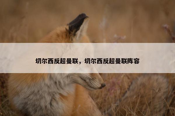 切尔西反超曼联，切尔西反超曼联阵容