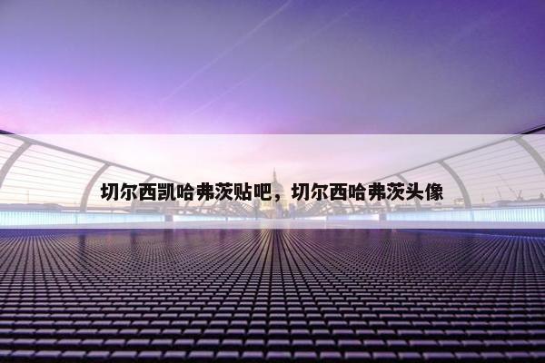 切尔西凯哈弗茨贴吧，切尔西哈弗茨头像