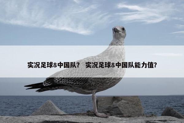 实况足球8中国队？ 实况足球8中国队能力值？