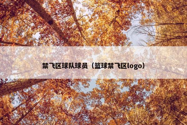 禁飞区球队球员（篮球禁飞区logo）