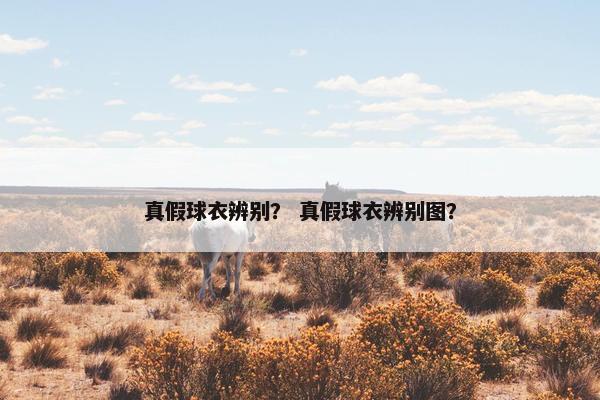 真假球衣辨别？ 真假球衣辨别图？