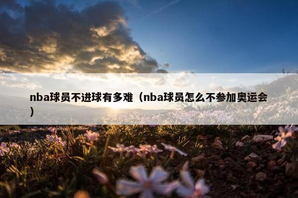 nba球员不进球有多难（nba球员怎么不参加奥运会）