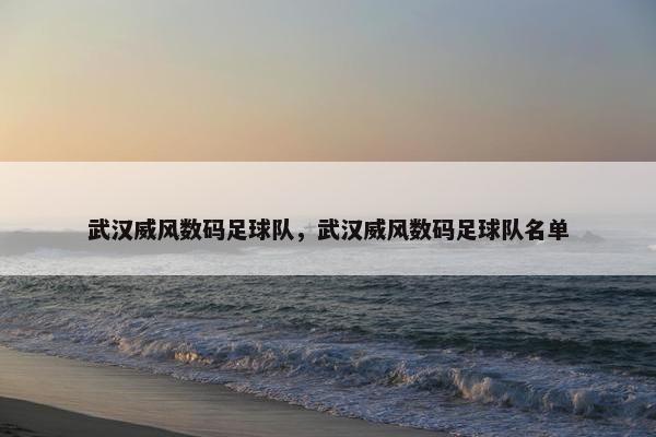 武汉威风数码足球队，武汉威风数码足球队名单