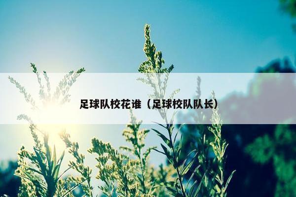 足球队校花谁（足球校队队长）