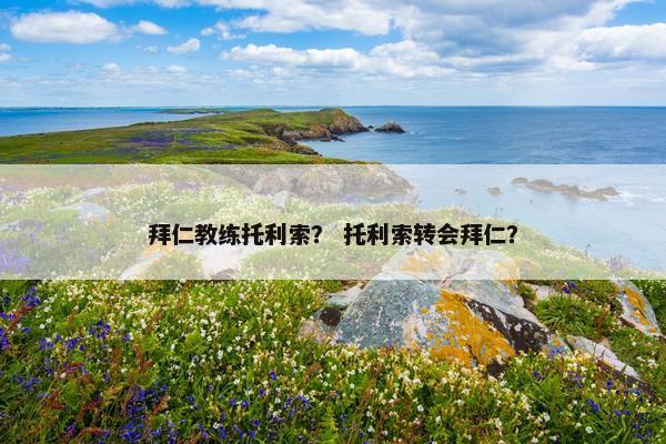 拜仁教练托利索？ 托利索转会拜仁？