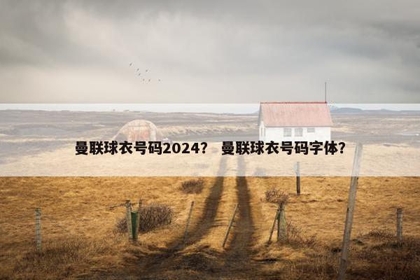 曼联球衣号码2024？ 曼联球衣号码字体？